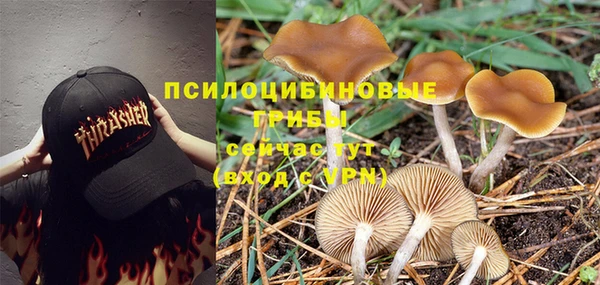 соль ск Алзамай