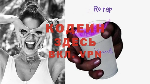 соль ск Алзамай