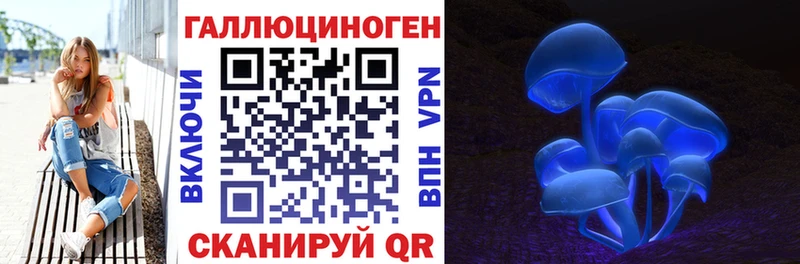 закладка  Бердск  Галлюциногенные грибы прущие грибы 